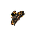 Balmain Pince à Cheveux Medium Tortoise Shell